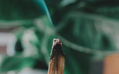 10 Ways to Live with Intention After Loss