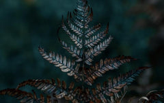 Talking to Grief, a Poem