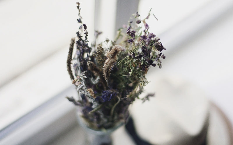 "Peace Begins with Me," a Short Meditation to Get You Through This