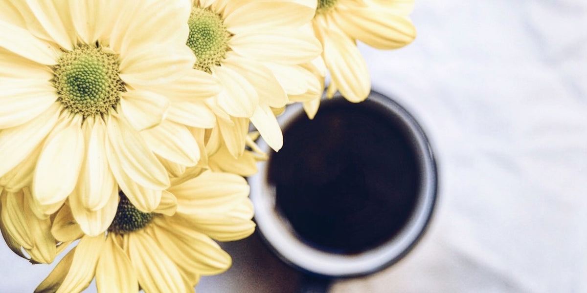 30 Positive Attitude Quotes to Inspire a Change of Heart– Healing Brave